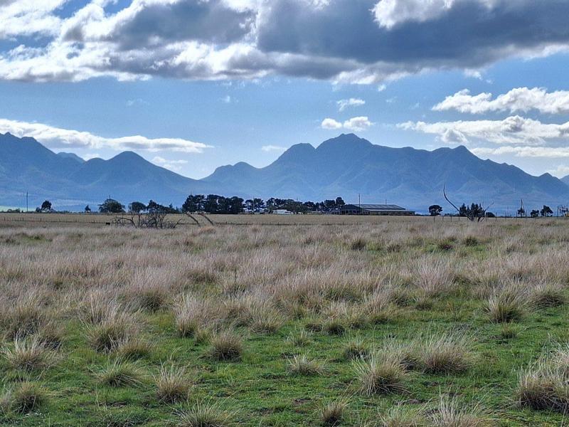 4 Bedroom Property for Sale in George Rural Western Cape